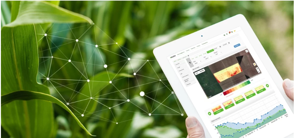 Smart Farming Technology: How Digital Tools Are Changing Modern Agriculture