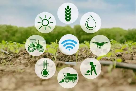 Agribusiness Management Software