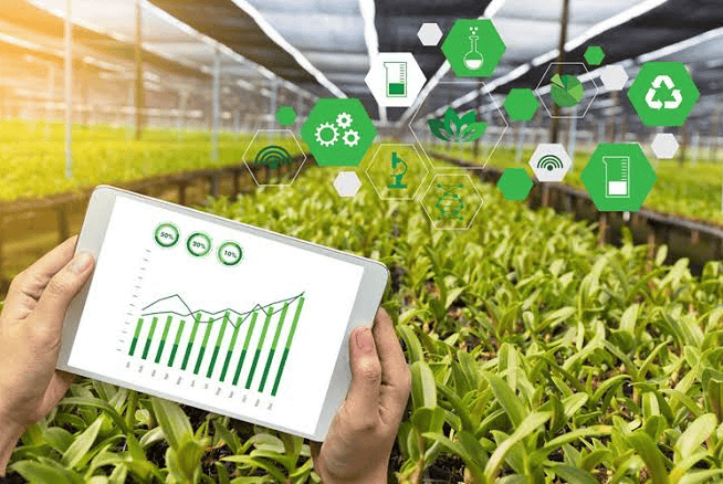 Agricultural Supply Chain Tracking Why Real-Time Visibility Is the Future of Agribusiness