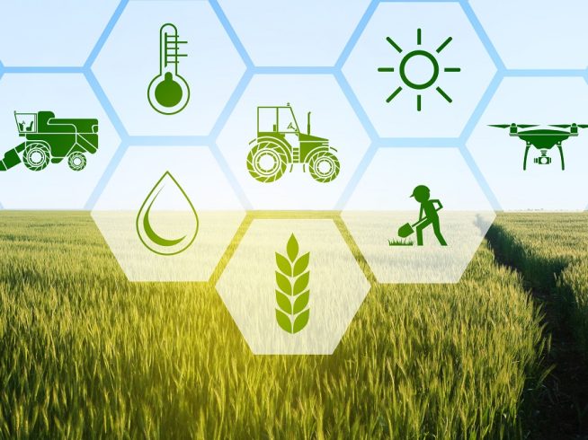 Icons and field on background. Concept of smart agriculture and modern technology