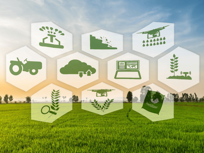 Why Agricultural Cooperatives Need Digital Transformation to Support Modern Farming