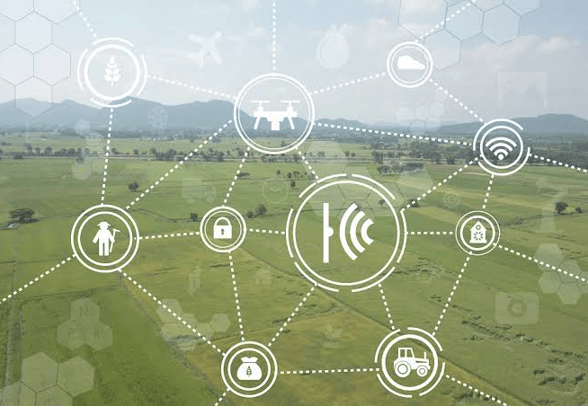 Agricultural Data Analytics