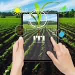 Agricultural Input Management Software: Simplifying Input Distribution for Farmers