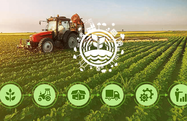 Digital Farmer Advisory Platform Digital Farmer Advisory Platform