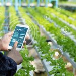 Cooperative Management Software: Strengthening Farmer Organizations Through Digital Technology