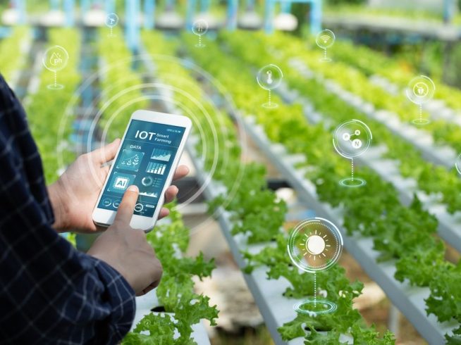Farmer Cooperative Management System, Farmer Cooperative Management System,